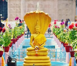 Sarnath Museum – The place of sculptures and artifacts